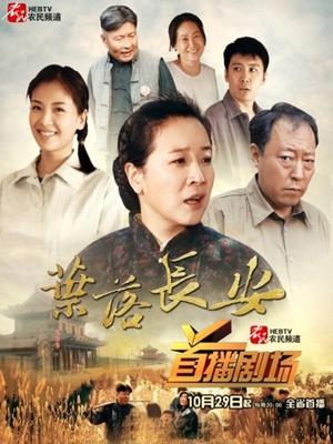 自闭颜球球(无颜小天使wy) &#8211; 豹纹内衣 [36P-337MB]